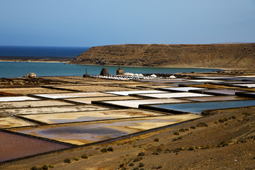 salt in  lanzarote stone sky  water  coastline and summer