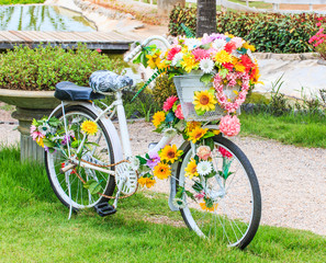 Fototapeta premium Flower on a bicycle as the decoration