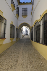 Archway in Ronda, Andalusia, Spain © monysasi