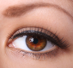 eye with long eyelashes. beautiful woman brown eye