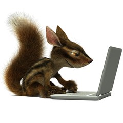 Squirrel using a laptop