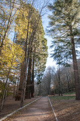 park in the mountains