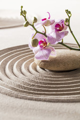 zen aesthetics with sand and flower