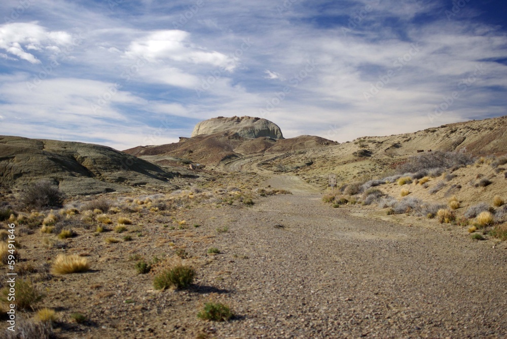 Wall mural Paysage de Patagonie