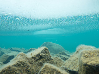 Ice sheet covers shallow lake rock bottom