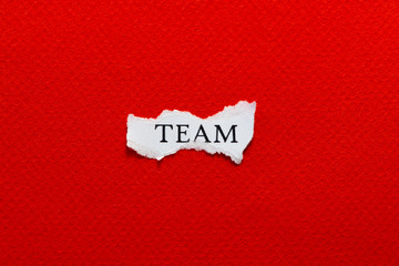 Team