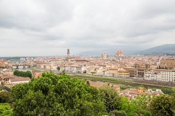 Fototapeta na wymiar View of Florence Beyond Trees
