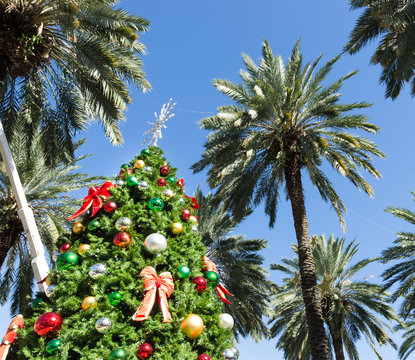 christmas tree in Miami