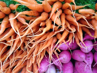 pink turnip