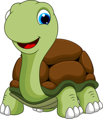 Naklejka premium cute turtle cartoon