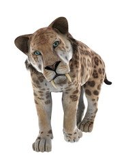 サーベルタイガー