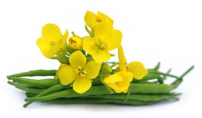 Mustard flowers with beans