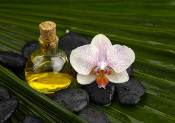 Obraz na płótnie Canvas Massage oil with orchid and wet spa stones on palm leaf