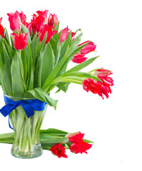 spring red tulips in vase