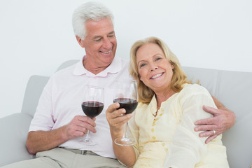 Senior couple with wine glasses at home