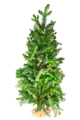 Crédence de cuisine en verre imprimé Arbres small tree Christmas tree on a stand