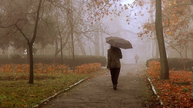girl with umbrella goes back to the autumn alley in the fog