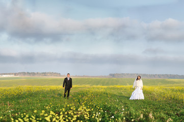 Fototapeta premium Bride and groom on the field