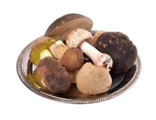 mushrooms types in a metal container