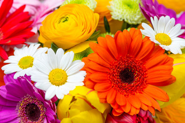 Frühlingsblumen