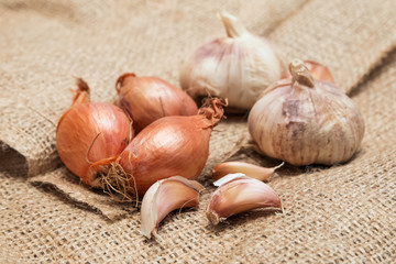 Garlic and onion close up