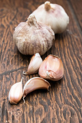 Garlic close up