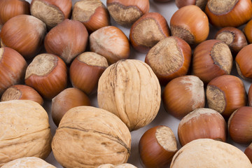 nuts on the white background