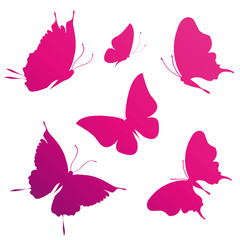 Obraz premium butterflies design