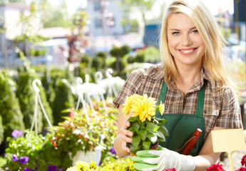 Florists woman working with flowers at a greenhouse.