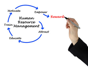 human resource management