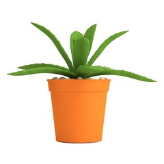 realistic 3d render of succulent