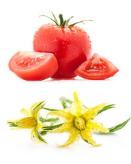 Tomato and flowers isolated on white background