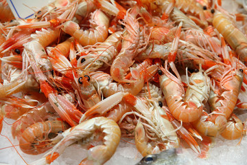 Fresh shrimps