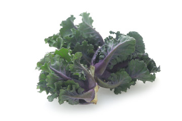Flower Sprouts