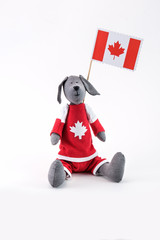 toy dog ​​with the flag of Canada