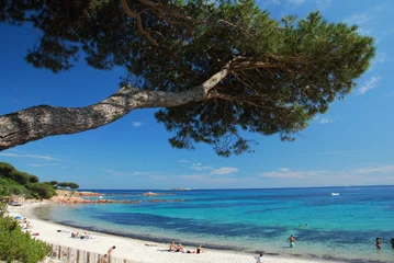 Selbstklebende Fototapete Palombaggia Strand, Korsika Strand von Palombaggia, Korsika