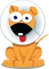 Funny Dog with Elizabethan Collar