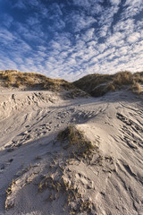 Fototapeta na wymiar Dunes at the Danish North Sea coast