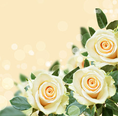 Peach backround with roses in a corner