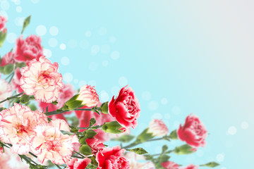 Postcard with elegant  flowers