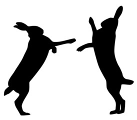 Feldhase © frilled_dragon