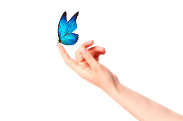 Obraz premium motyl na kobiecej dłoni. W ruchu