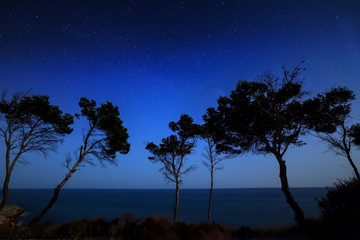 Fototapeta na wymiar Niebo z gwiazdami w nocy, krajobraz