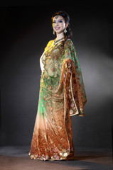 beautiful female wearing traditional indian costume posing