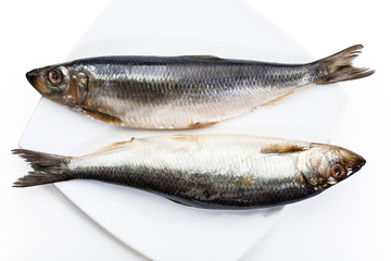 salted herring