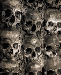 Wall full of skulls and bones