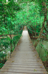 Narrow foot bridge