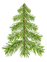 Tannenbaum aus Tannenzweigen vor weiß