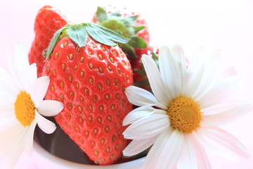 freshness strawberry from japan with daisy