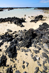 people of black rocks in the   lanzarote